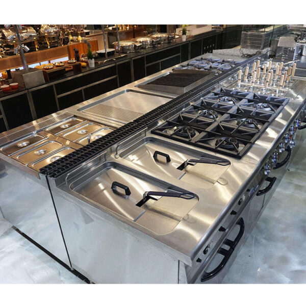 1 Commercial Electric Deep Fryer Equipment Full Range of Styles 304 Stainless Steel for Hotel Kitchen and Fast Food
