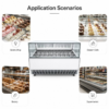 High Capacity Commercial Display Freezer for Ice Cream Imported Compressor Dual Automatic Defrost Marble Base