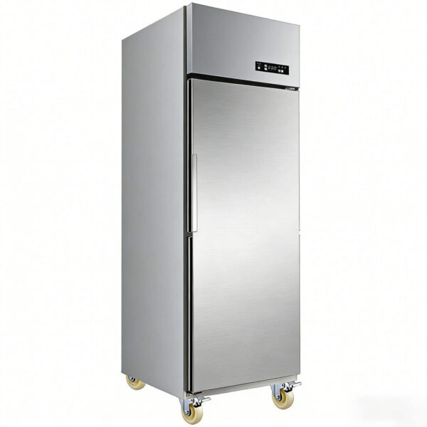 Commercial Industrial 650L Vertical Freezer Kitchen Equipment R290 Fan Cooling Single-Temperature Containerized Blast Freezer